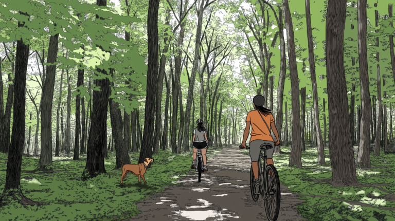 Illustration of a forest trail in spring with two mountain bikers sharing the path with a dog walker, emphasizing trail etiquette and harmony among outdoor enthusiasts in Blackstone Valley