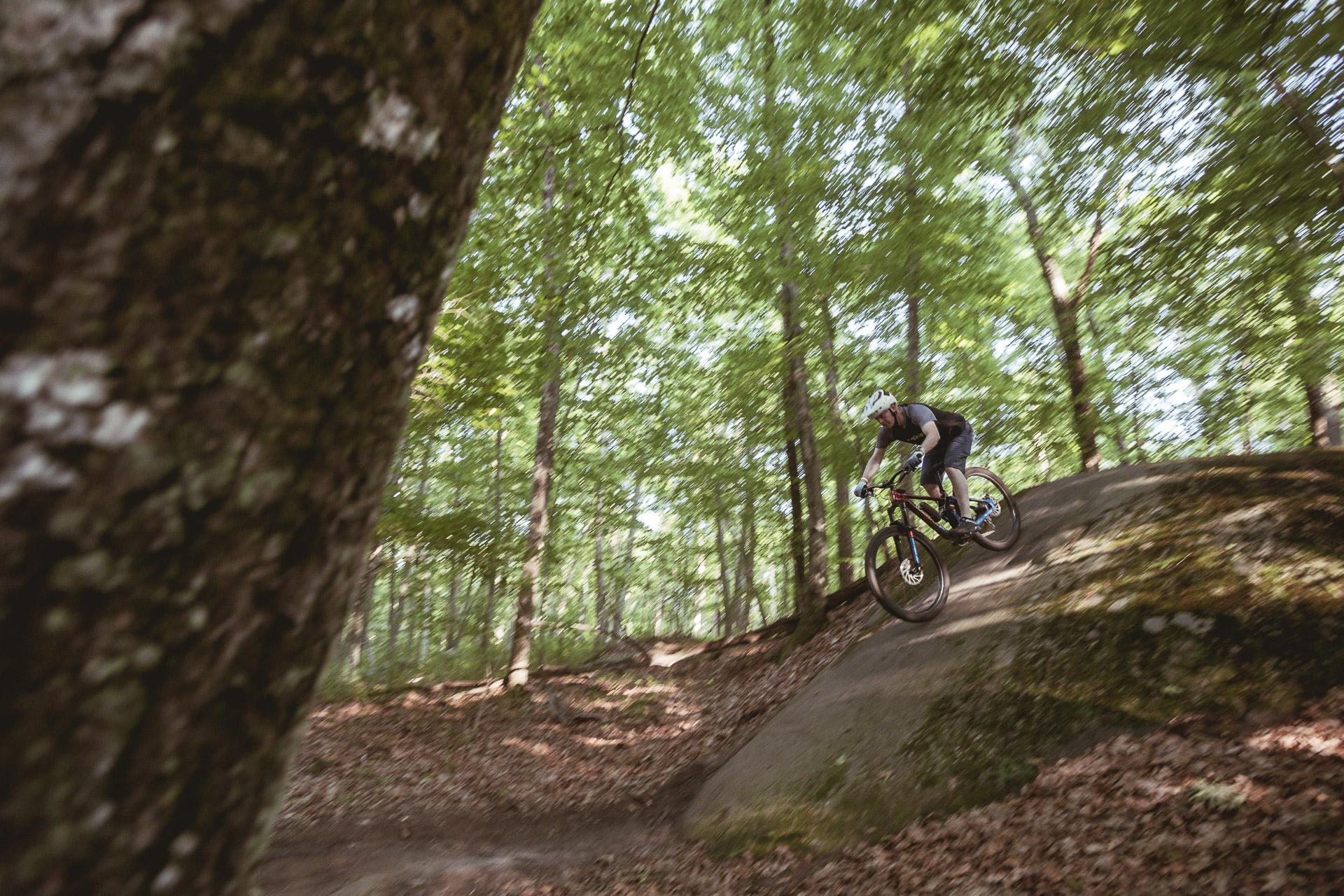 Riders on the trail at the Blackstone Valley Summer Solstice Ride, June 2024