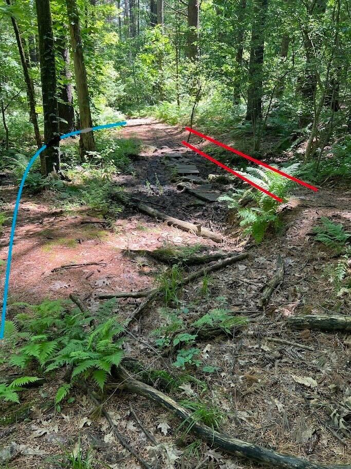 New bridge alignment at Callahan State Park
