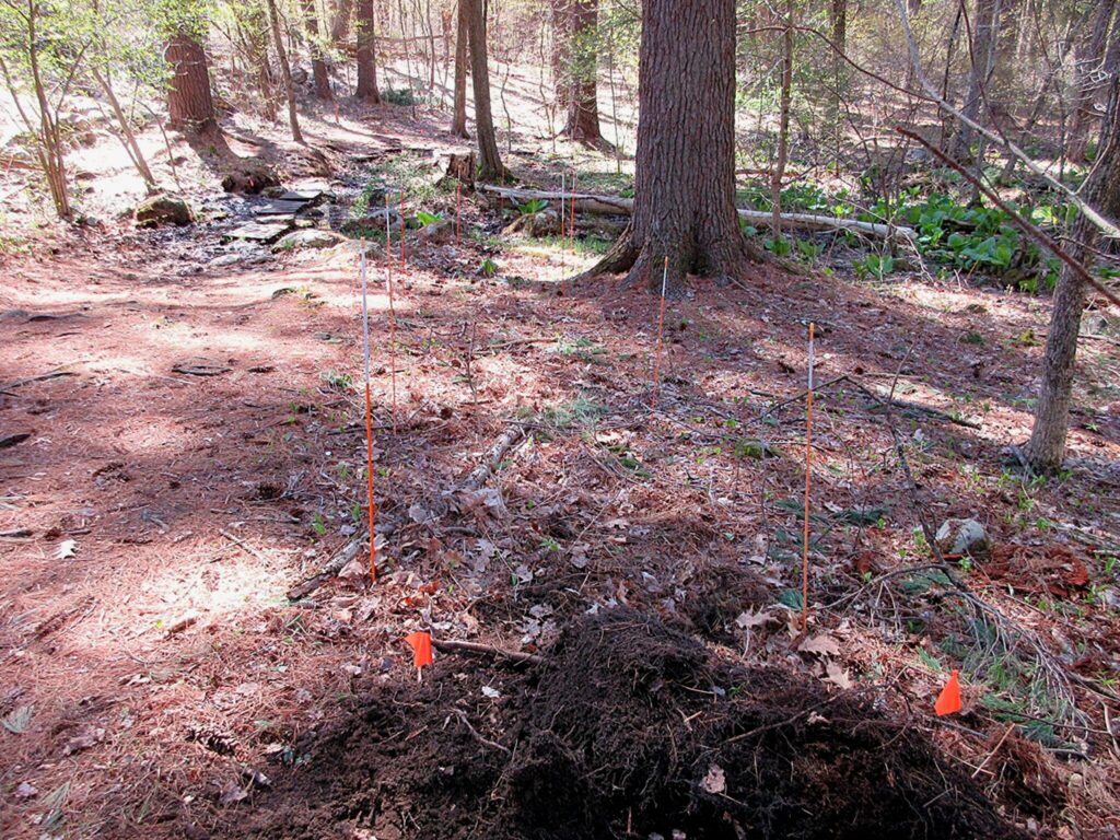 Callahan State Park bridge project site review