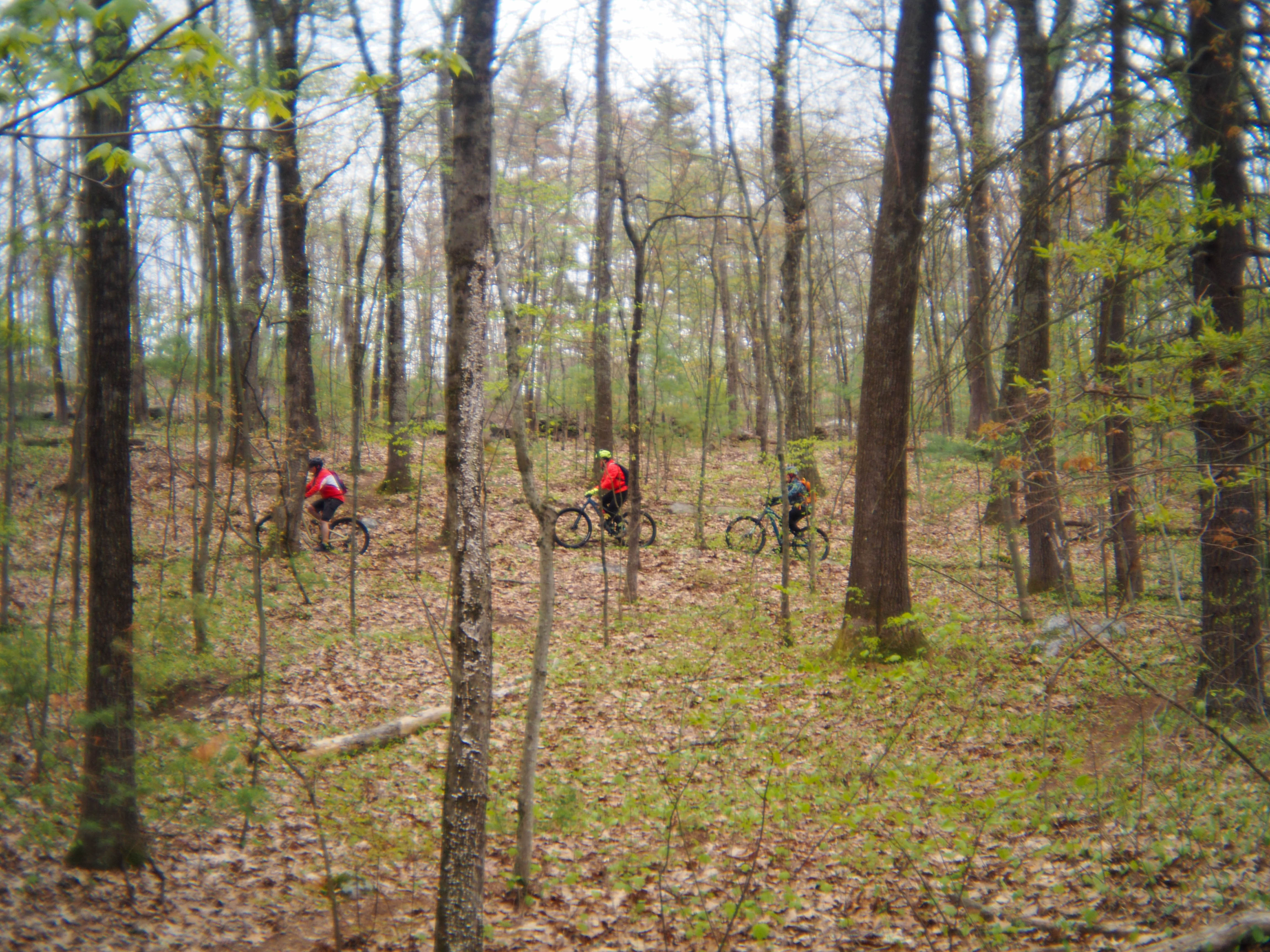 Riders at the Spring Social Ride in Millbury