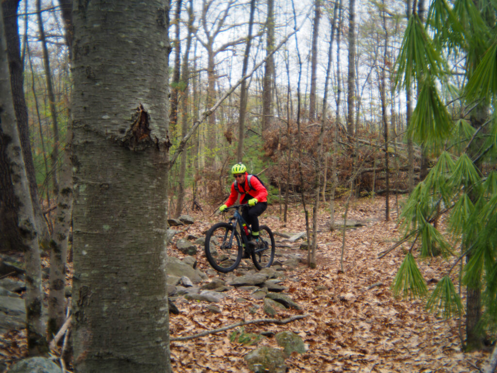 Mountain bikers on the Millbury trail system