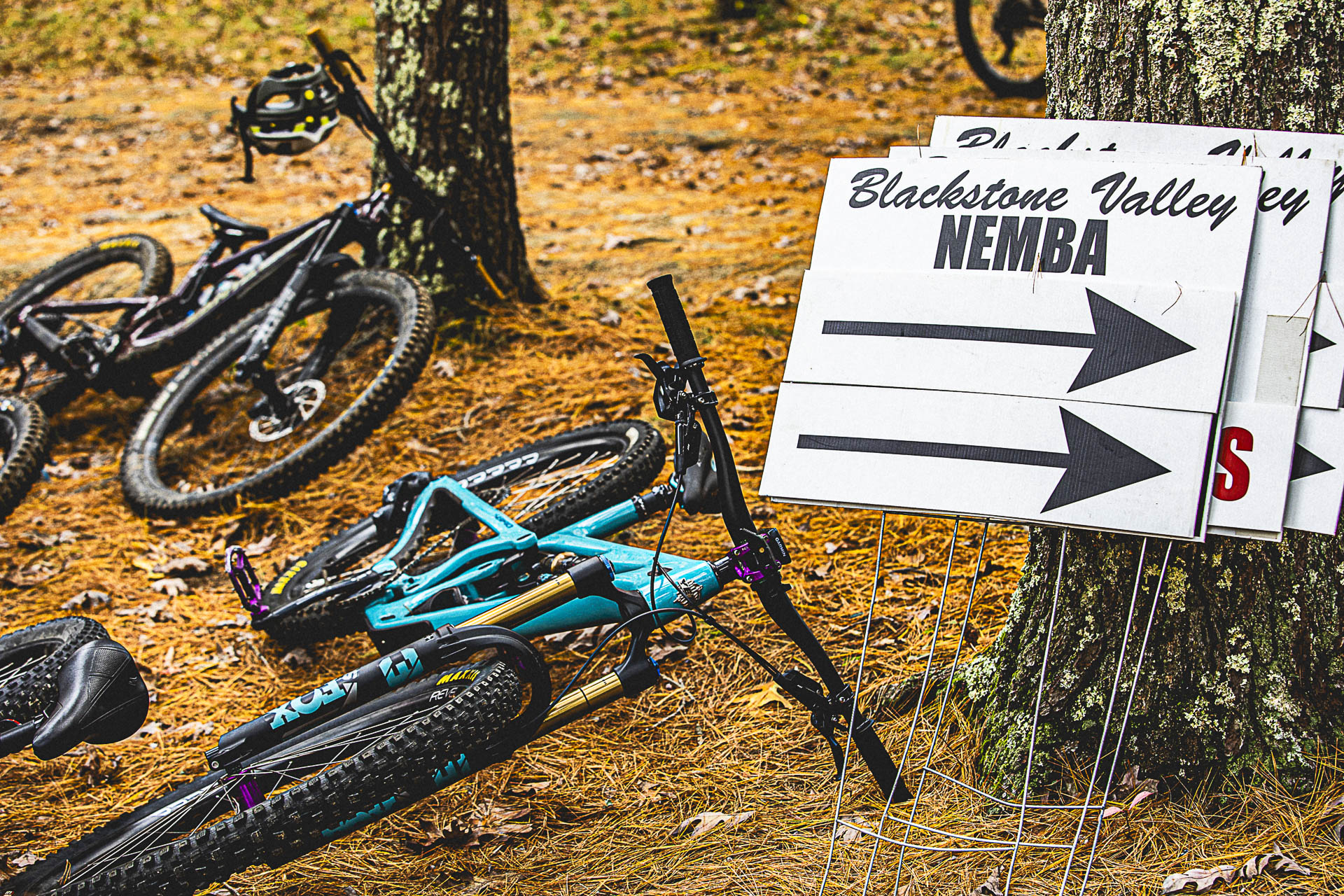 Mountain bikes rest on pine needles beside Blackstone Valley NEMBA arrow signs