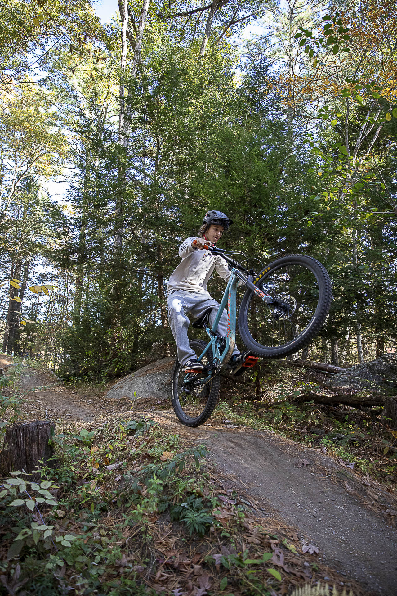 A rider pops a wheelie over a rock feature in the woods