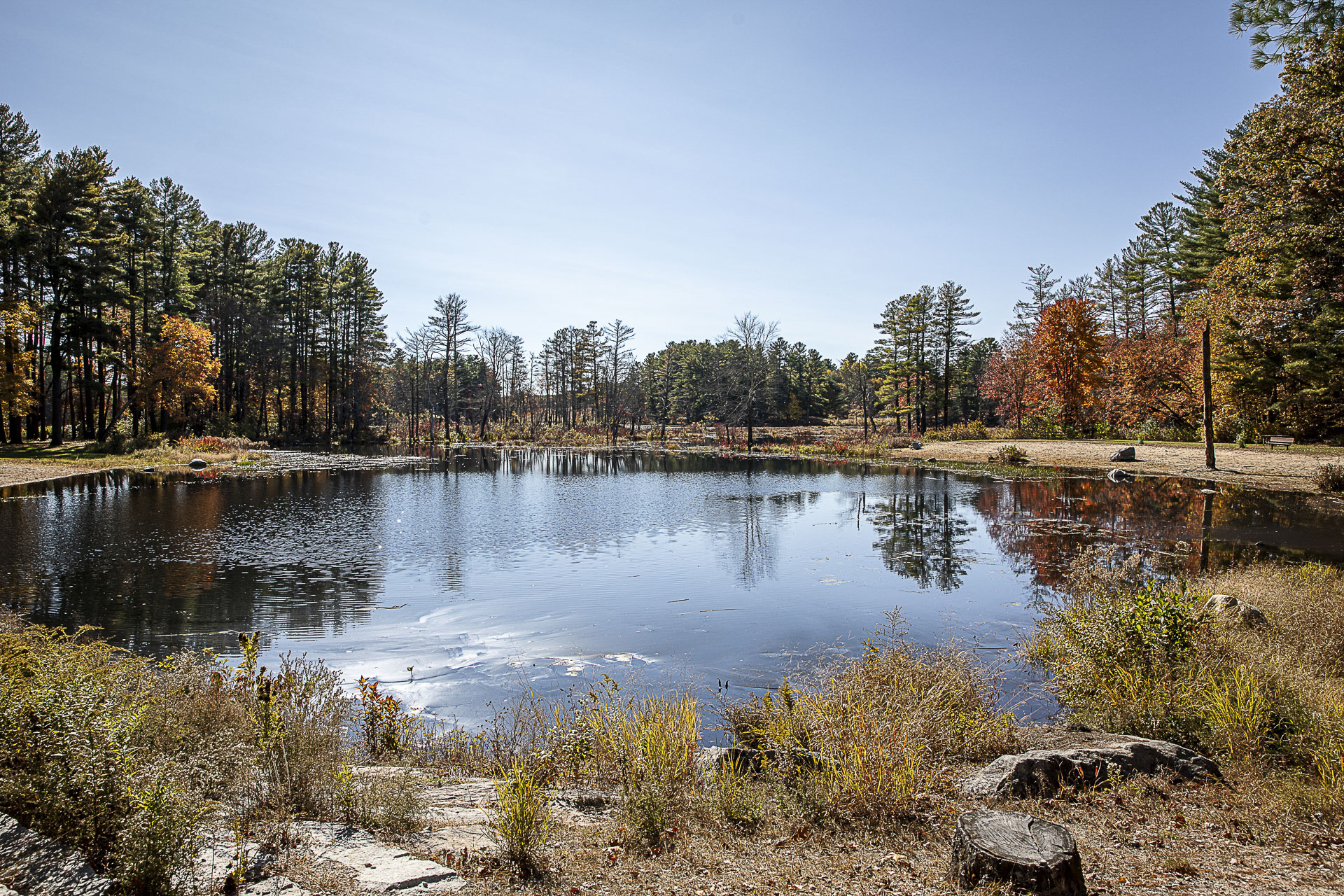 A still pond reflects blue sky and autumn trees